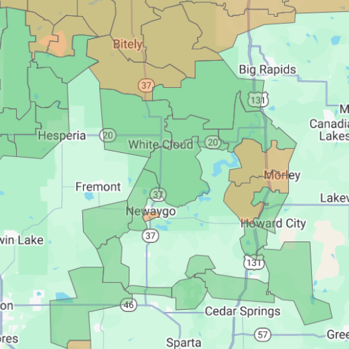 map of the Newaygo area